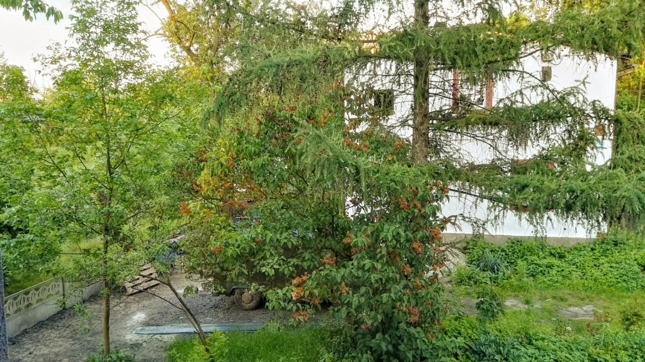 Familuks - Apartementy Katowice Ligota Екстер'єр фото
